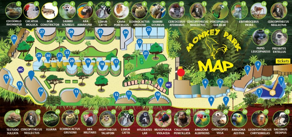 Monkey Park plan